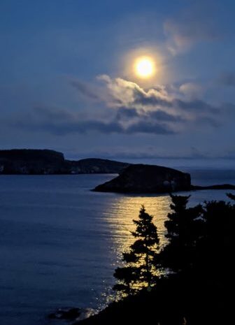 The Gannet Studio Apartment